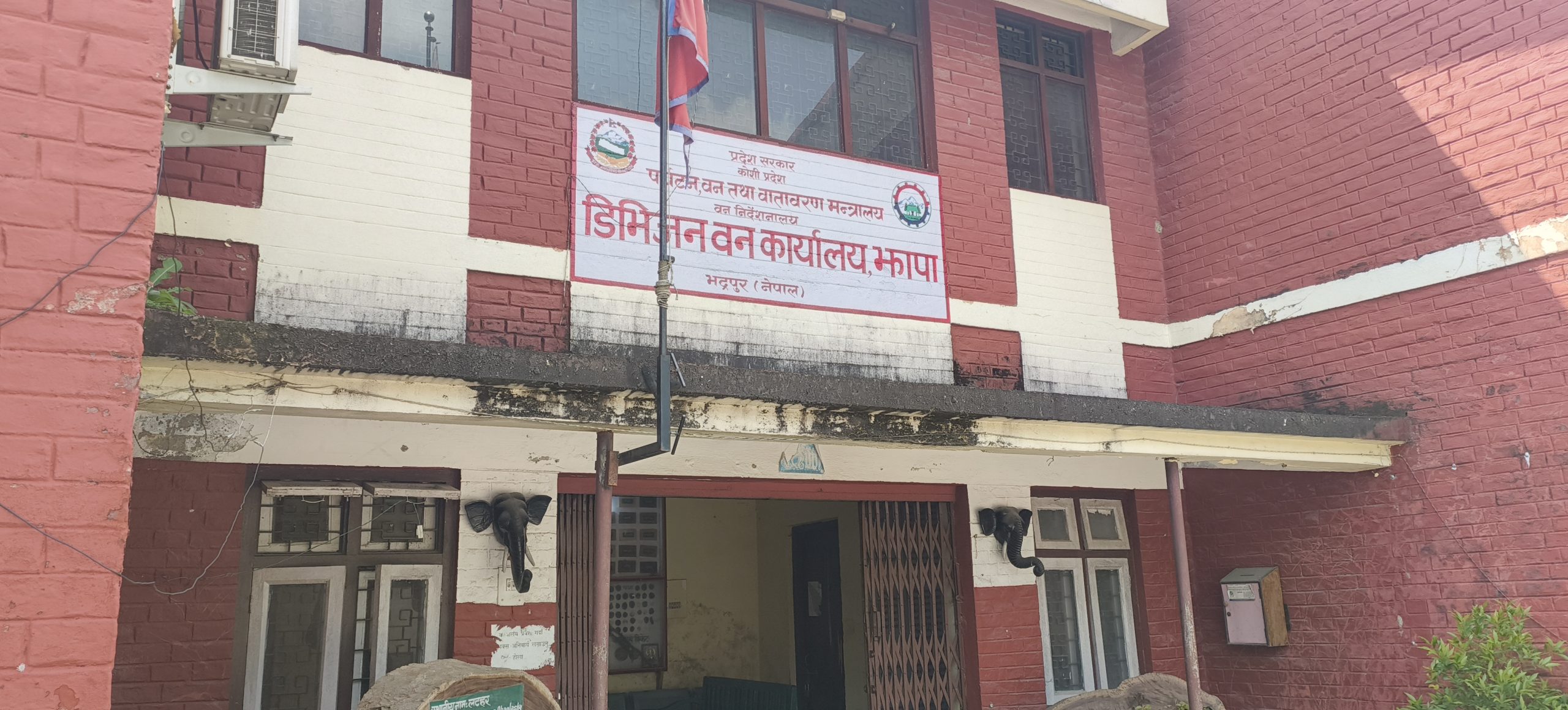 दमकका १६ हजार कुखुरा नष्ट गर्दै बर्ड फ्लु नियन्त्रण समिति: दमकबासि आतङ्कित