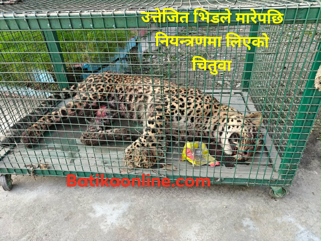 बुद्ध शान्तिमा चितुवा हत्या प्रकरण: हत्यारा खोज्दै  टोली झापामा